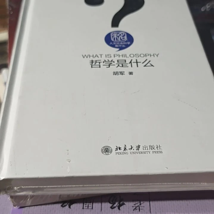 哲学是什么精装塑封