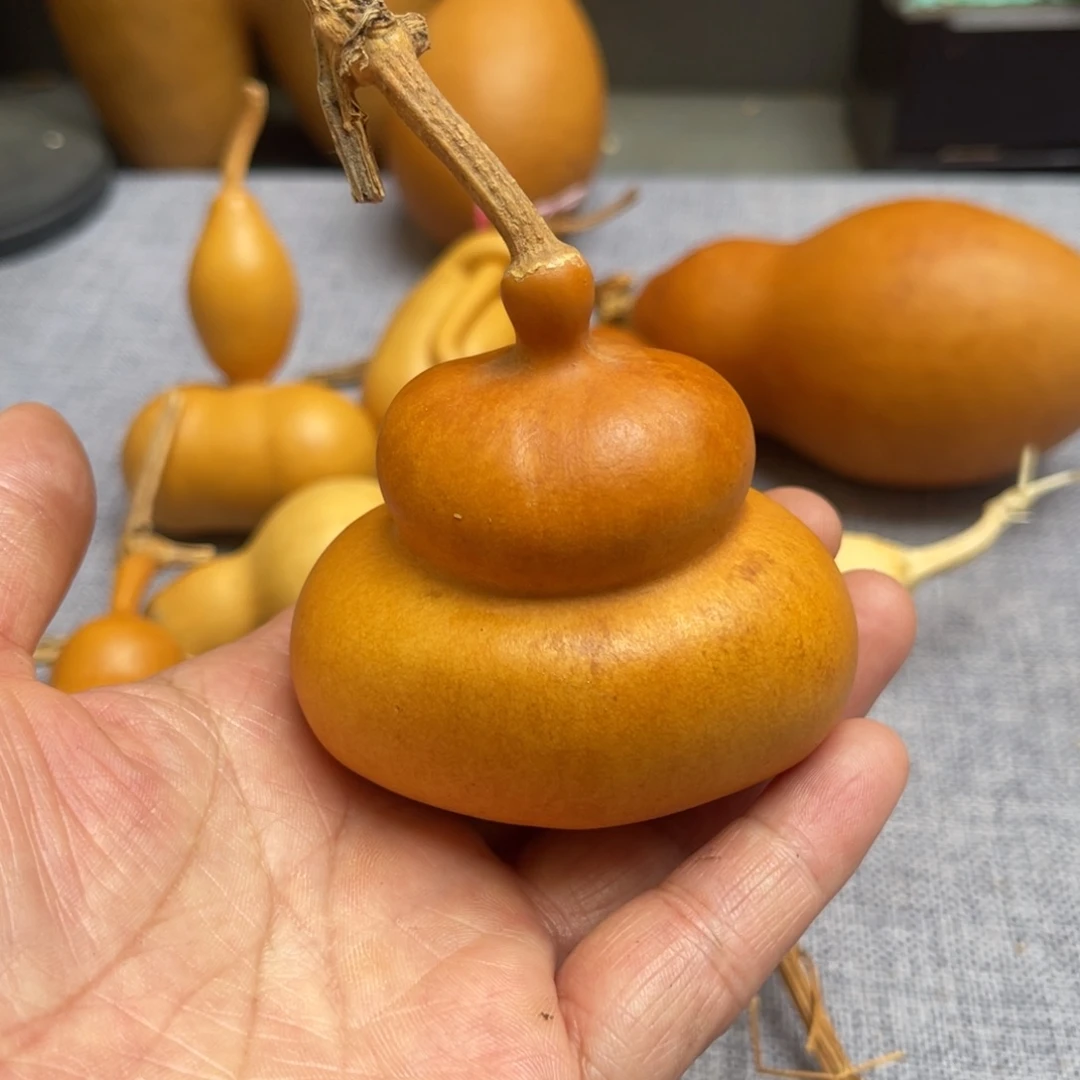小***糕葫芦哈哈哈哈哈哈哈哈哈