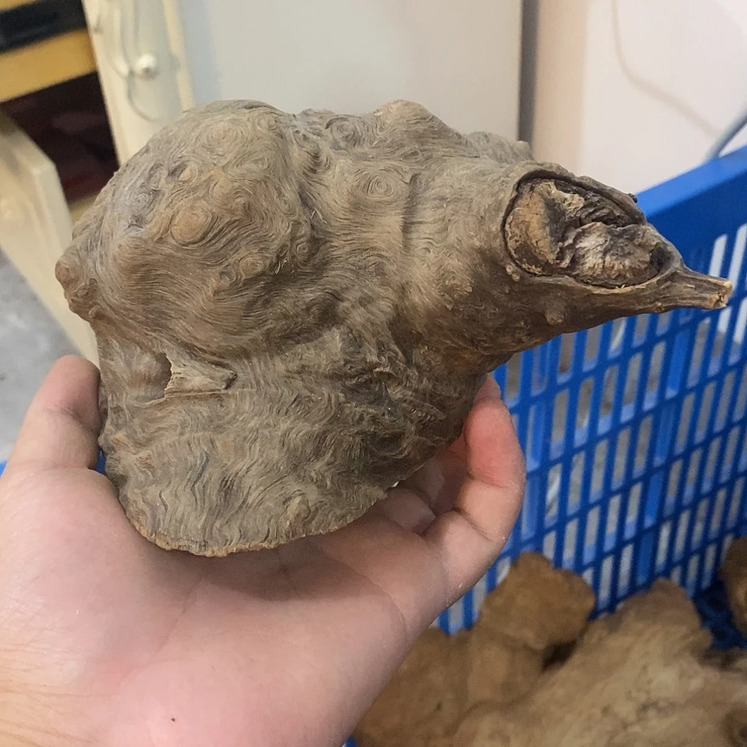 徒***行荔枝木荔枝木原料