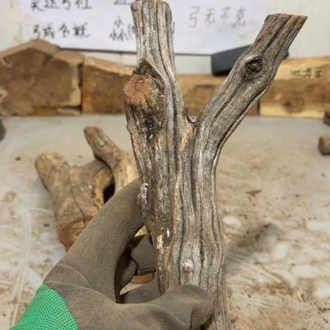 大果紫檀（缅甸花梨）向****赚