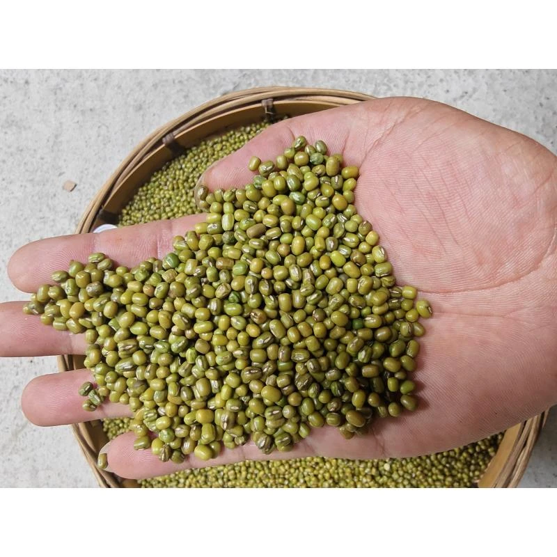 湖南高山农家绿豆农产品