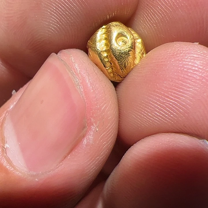 香榧木在这里的确