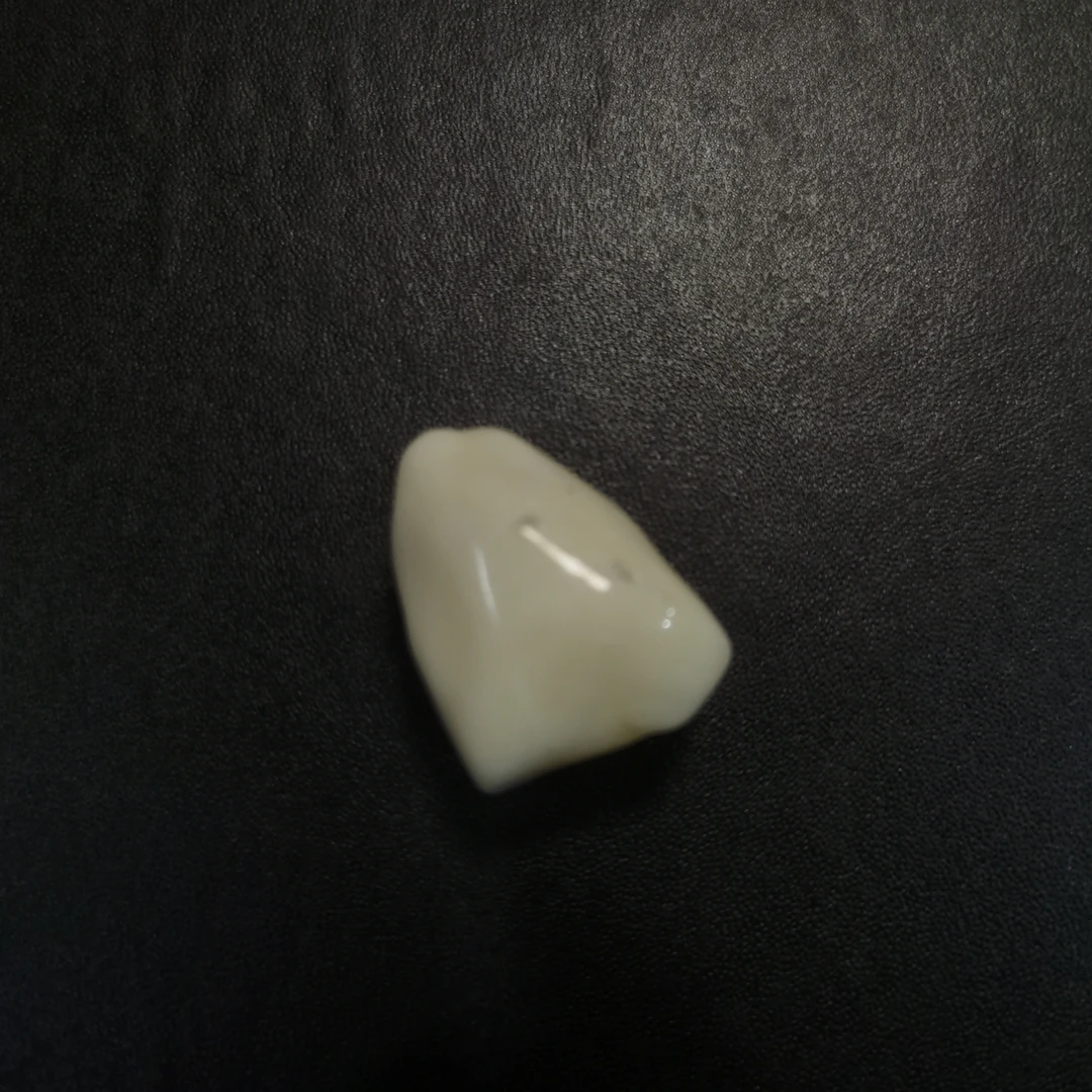 猛犸约8.9克手把件TT31