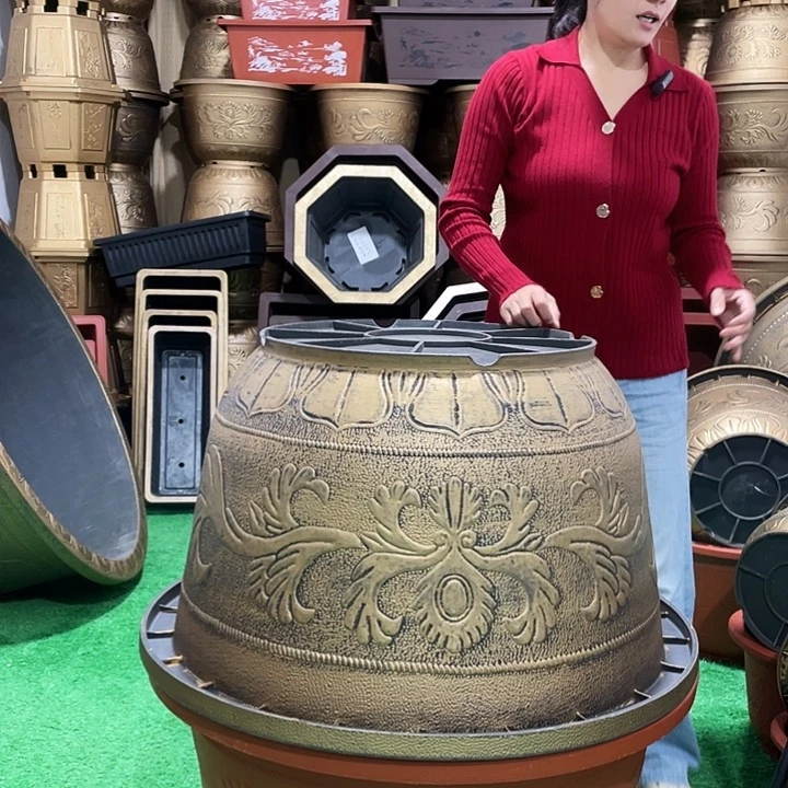 游***生圆盆古铜七零一个