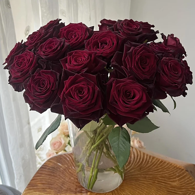 【黑巴克】玫瑰【3单包邮顺丰空运/95%市区次日达】