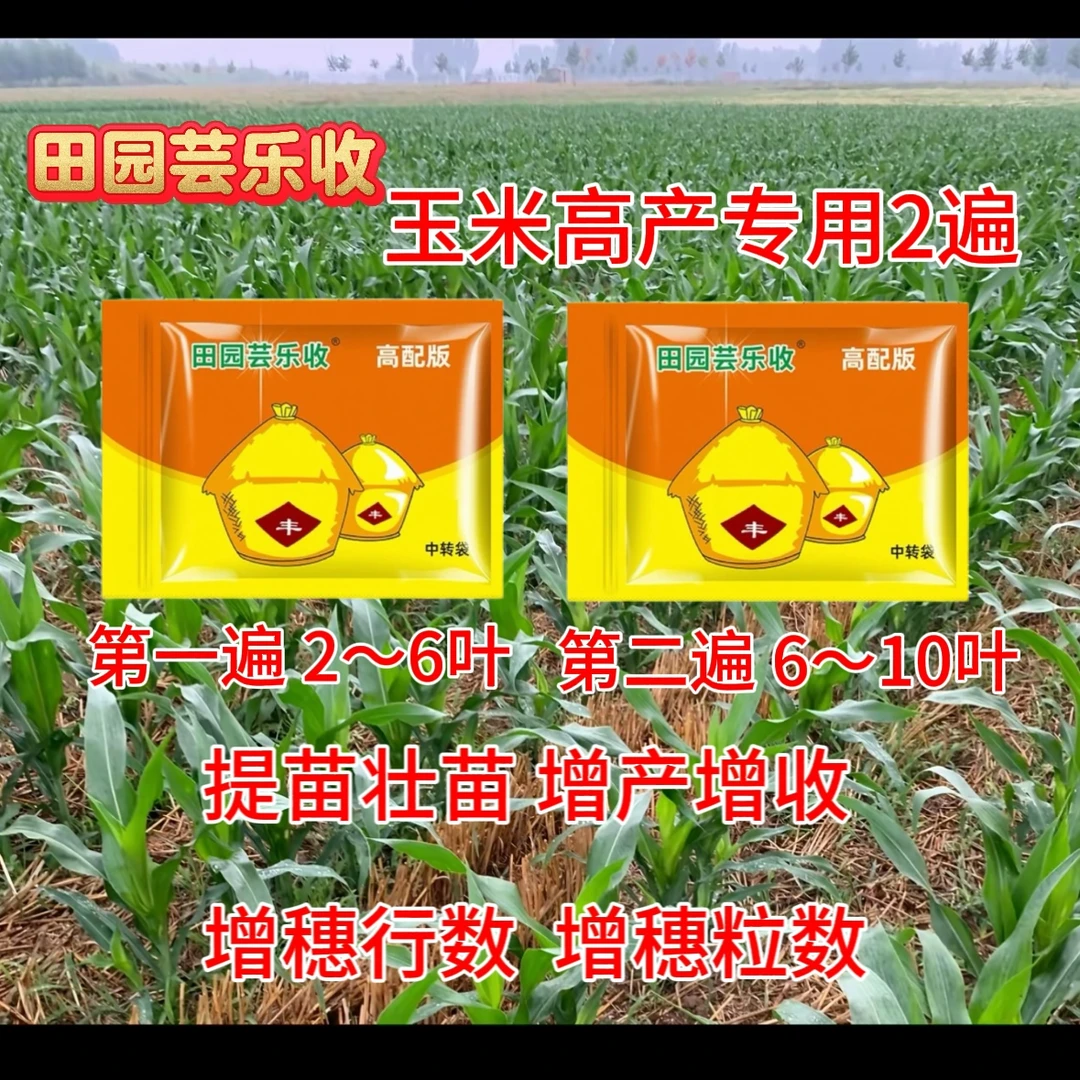 田园芸乐收玉米高产第一遍和第二遍两遍方案