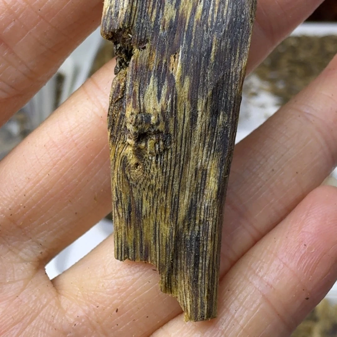 L***天沉香沉香碎屑沉香碎屑2.6克