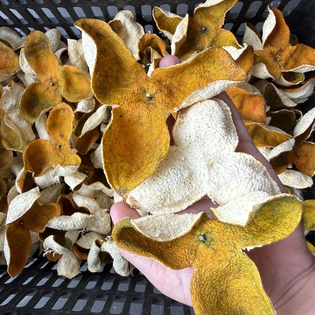 【二红上新福利】2025年正宗新会二红皮10年老树圈枝茶枝柑滋补养生