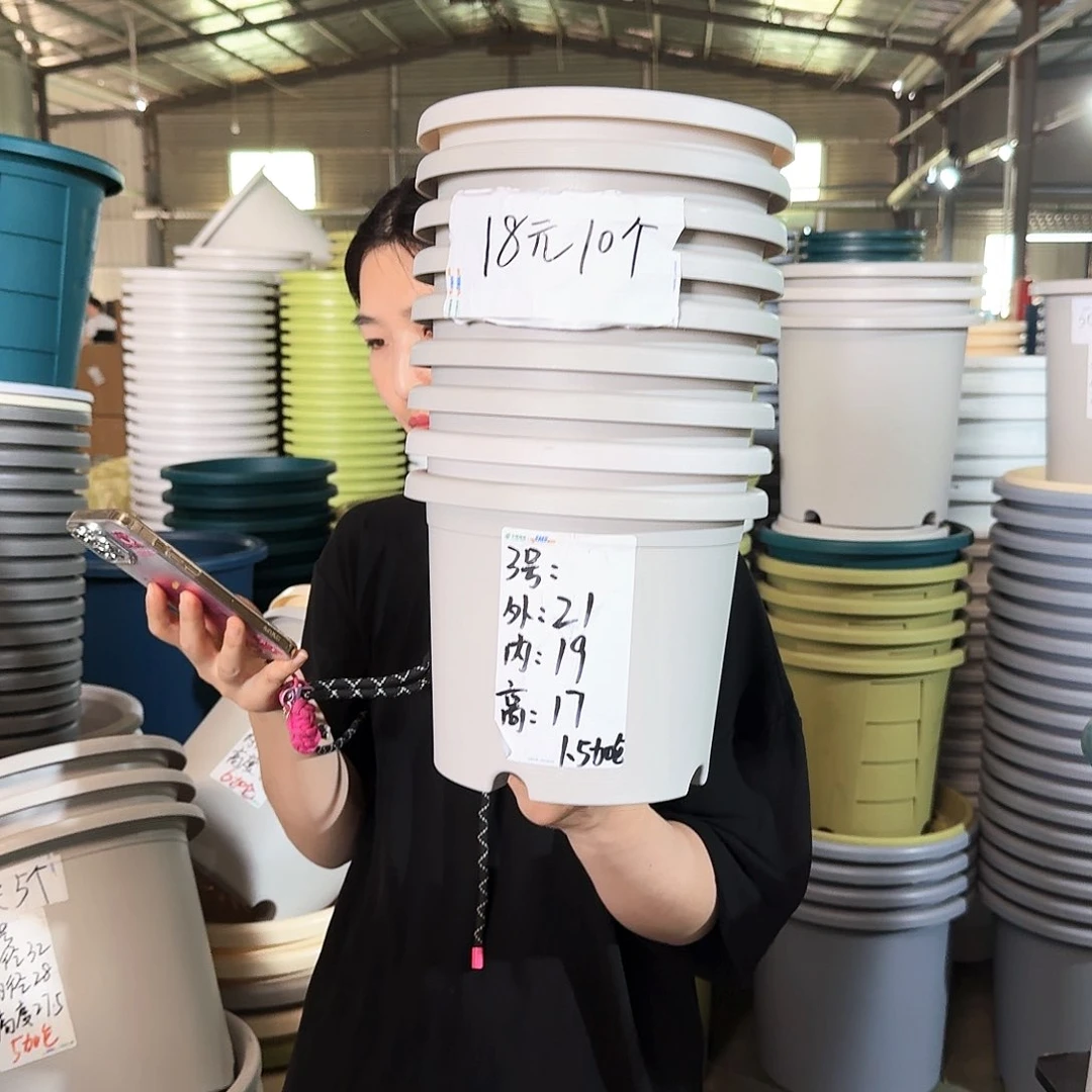 微瑕3#无拖灰白10个