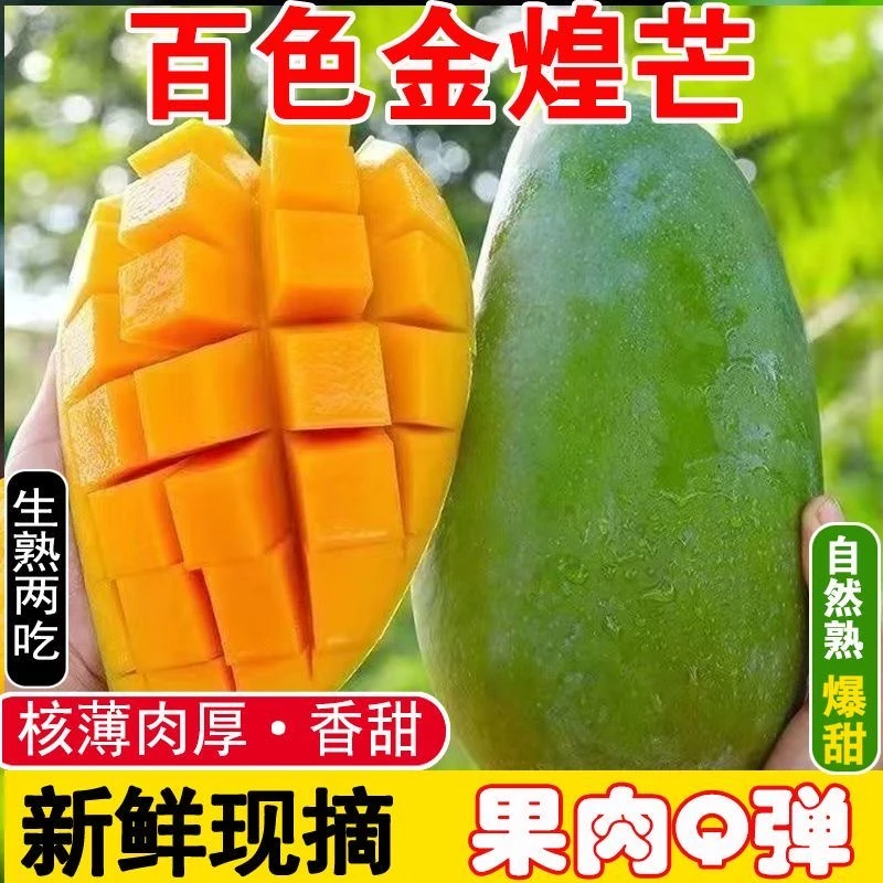 F【百色金煌芒】10斤装正宗广西百色大青芒软糯香现货（催熟食用）