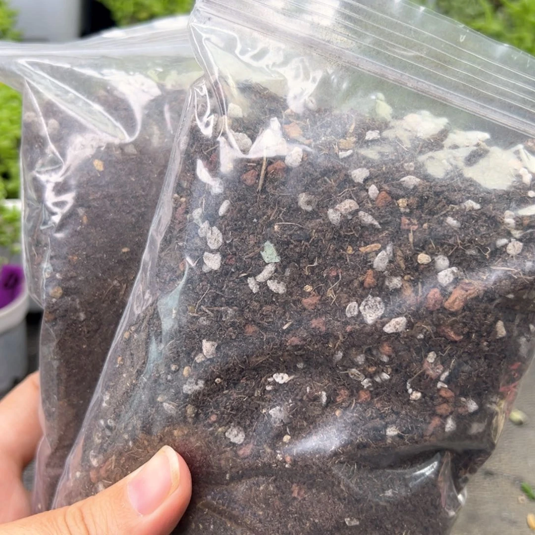 枝干番杏专用颗粒土两包