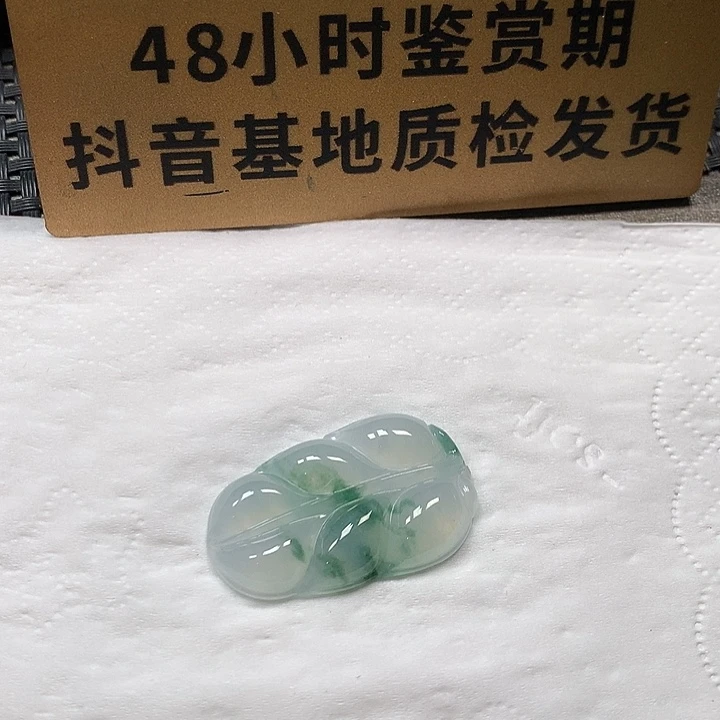 颈饰未镶嵌翡翠叶子