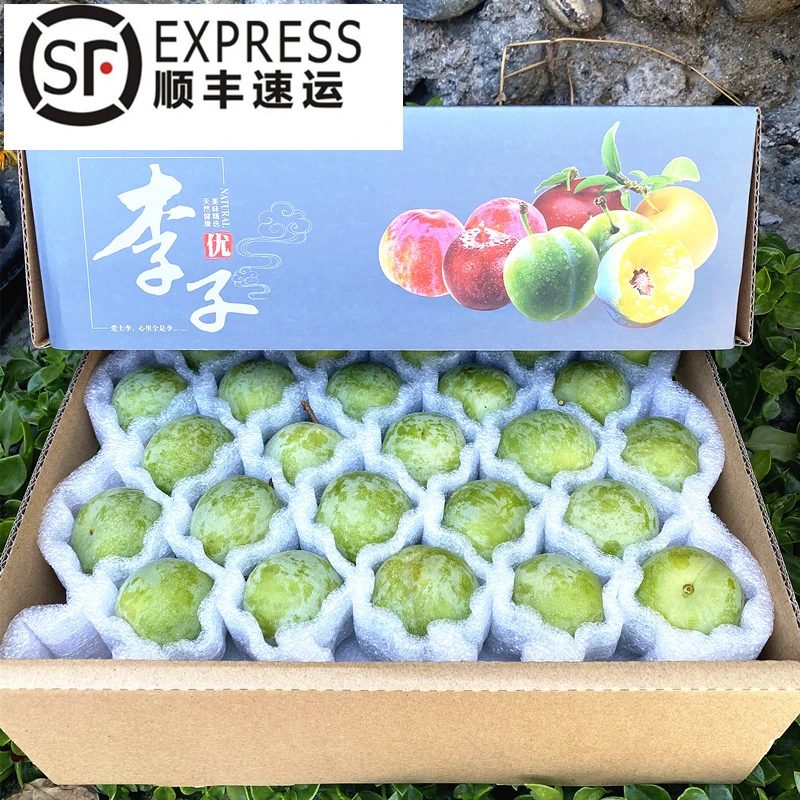 【唯果多】顺丰速运四川汶川茂县九月晚熟高山青脆脱骨李现摘现发