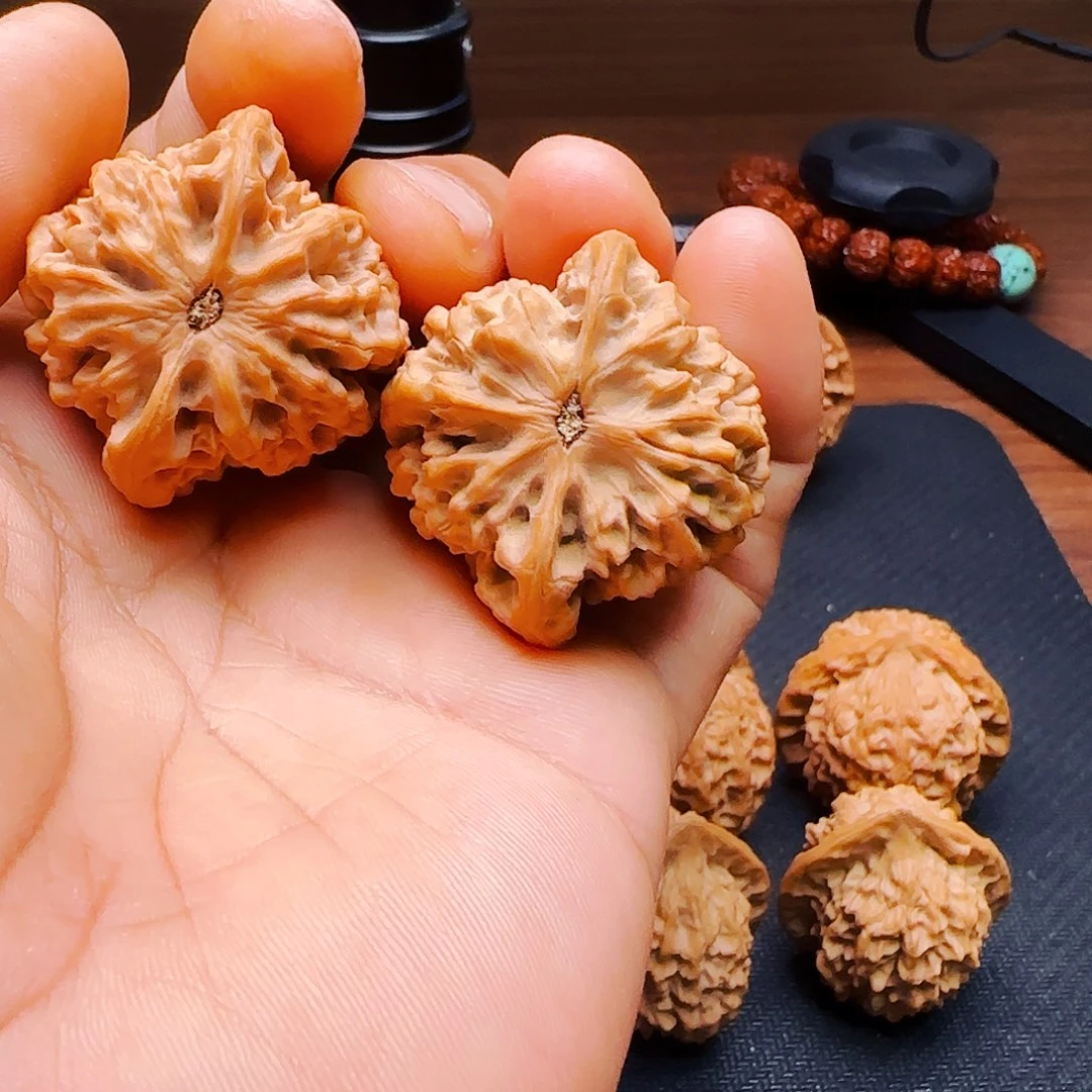 小***哥38尺陕西秦岭秦闷
