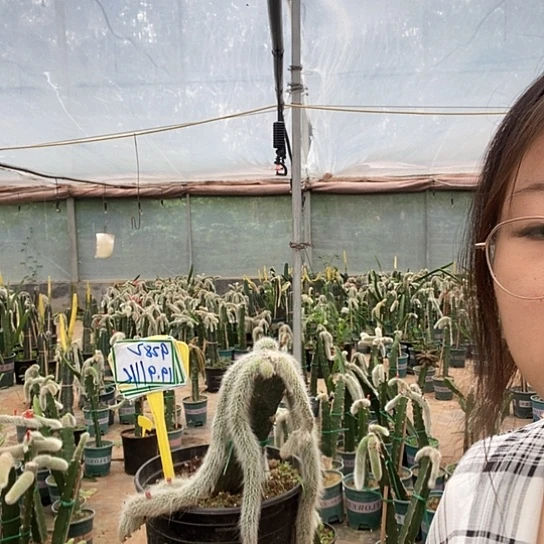 9282脱土发货无售后