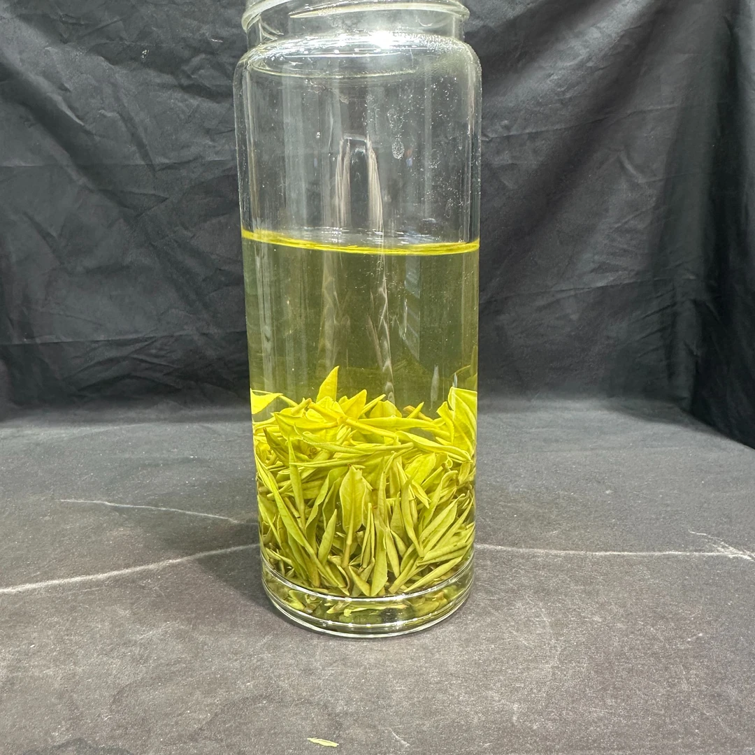 【霞姐】安吉昆铜（B-52白茶）2024新茶明前白茶/兰花香味/高山茶