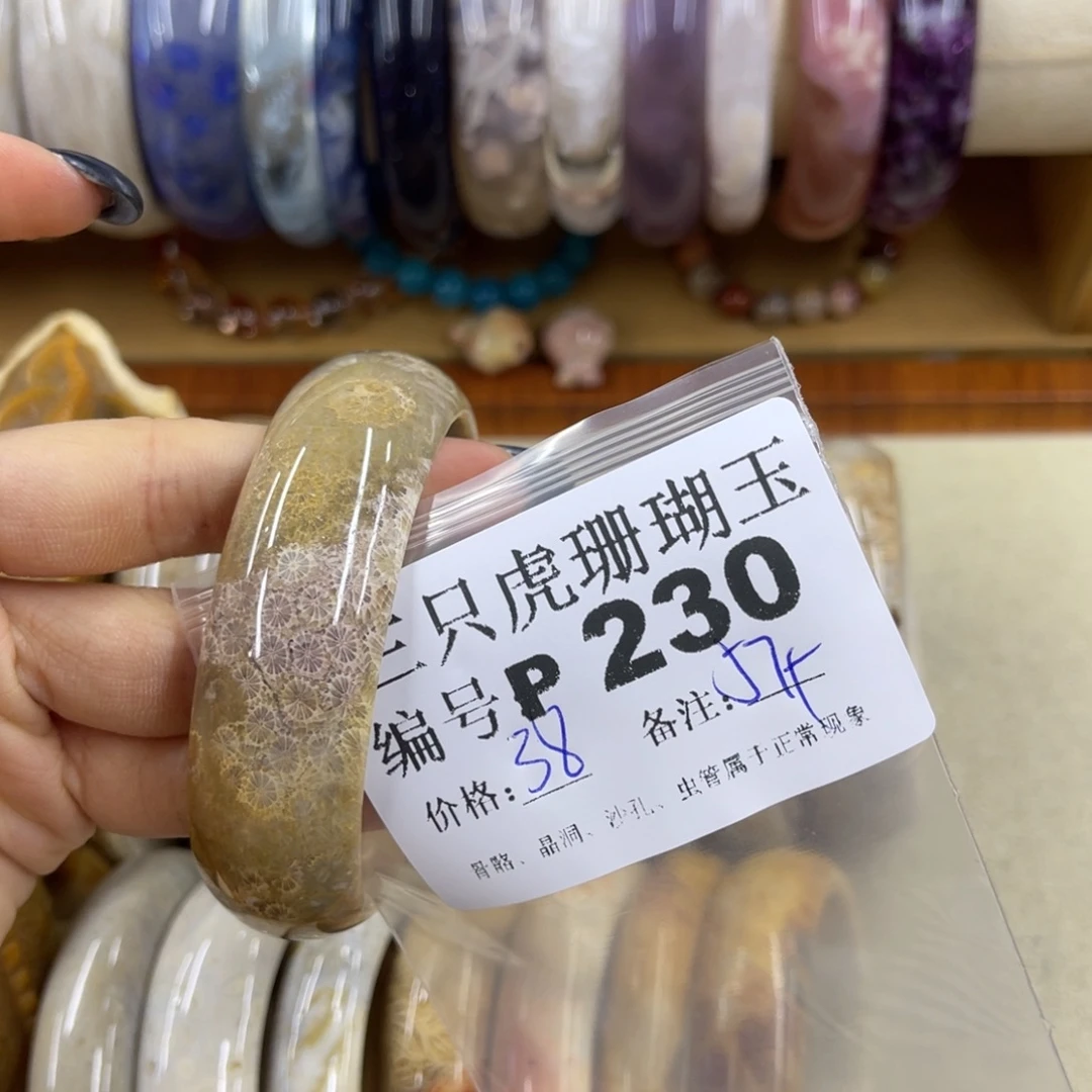 喜***西未镶嵌h硅化珊瑚（珊瑚玉）