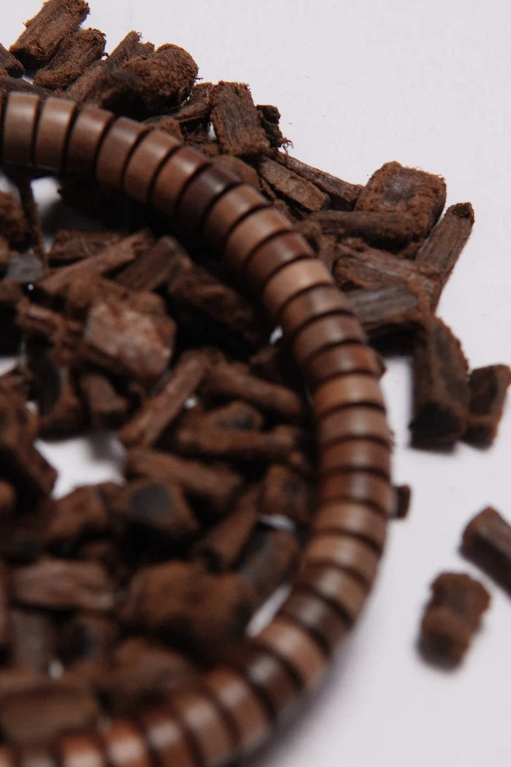 阴沉沉水 3*6mm 药片 迈索尔正区 老山檀香手串