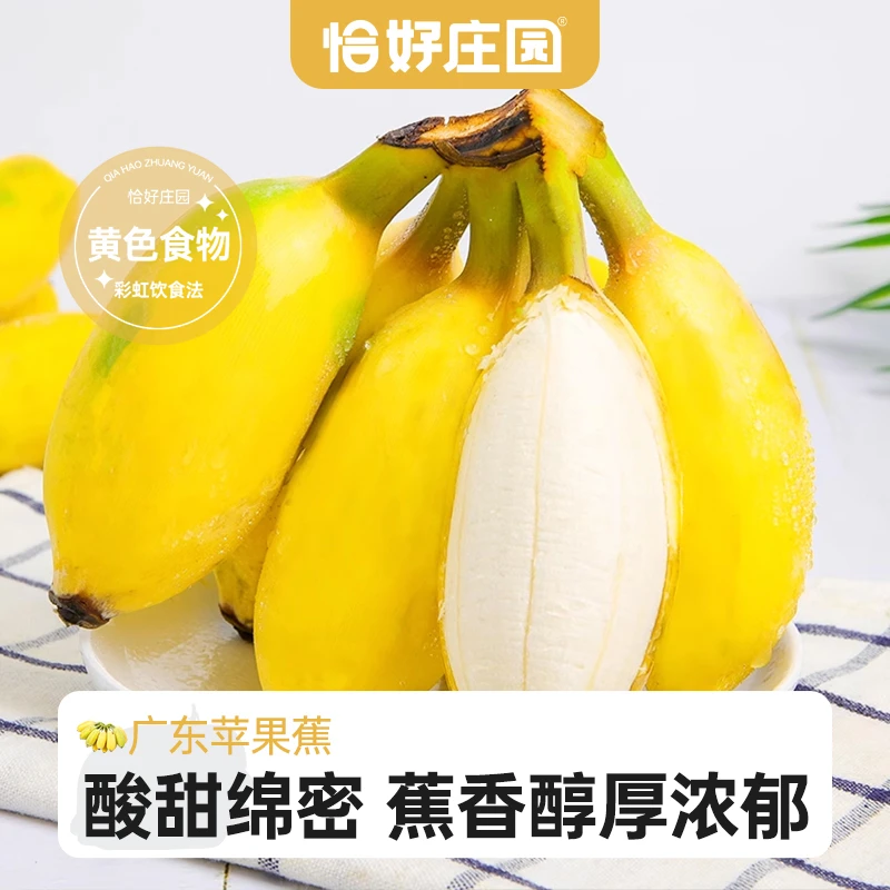 【恰好庄园】广东苹果蕉3/5斤新鲜水果整箱批发包邮