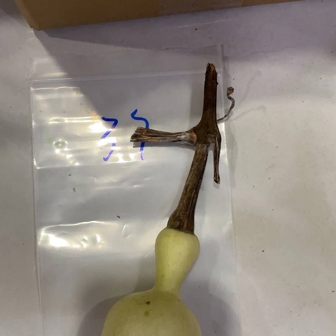 鱼***啦过哈哈哈哈哈健康和v个