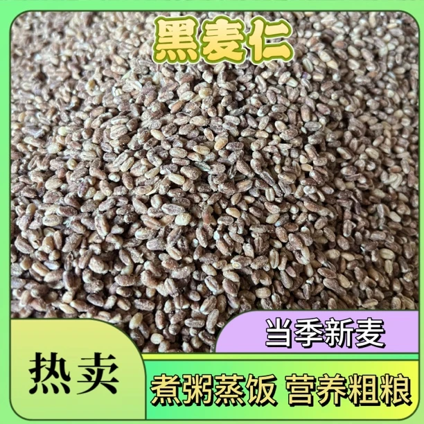 【黑麦仁】自家种植的黑麦碾磨而成 煮稀饭 蒸米饭小麦
