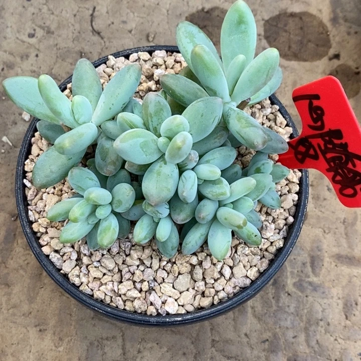 心***动8888888888888888