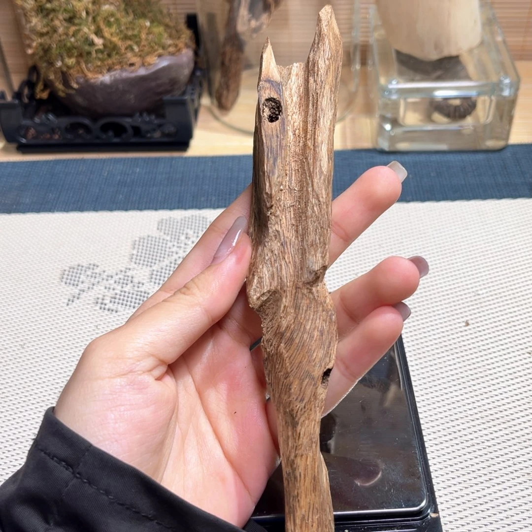 香榧木越南种植奇楠16克