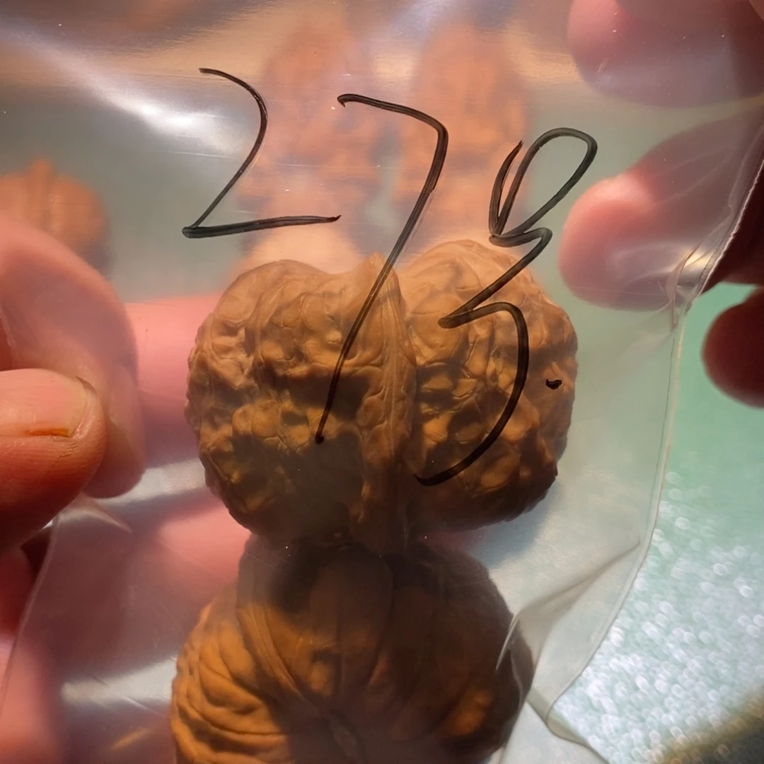 吊坠桃核南瓜饼都没这么多吃就