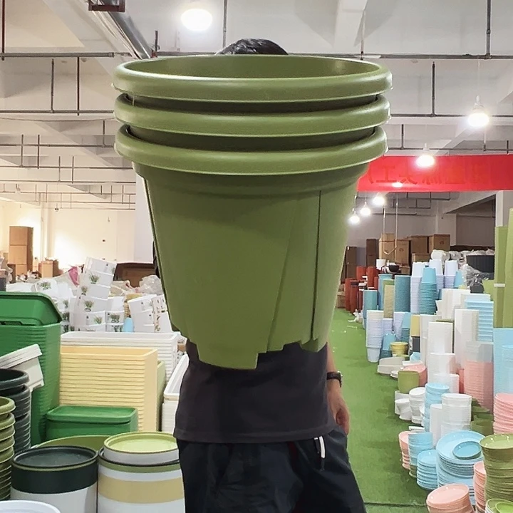 青山401口40高35果绿色3个无托