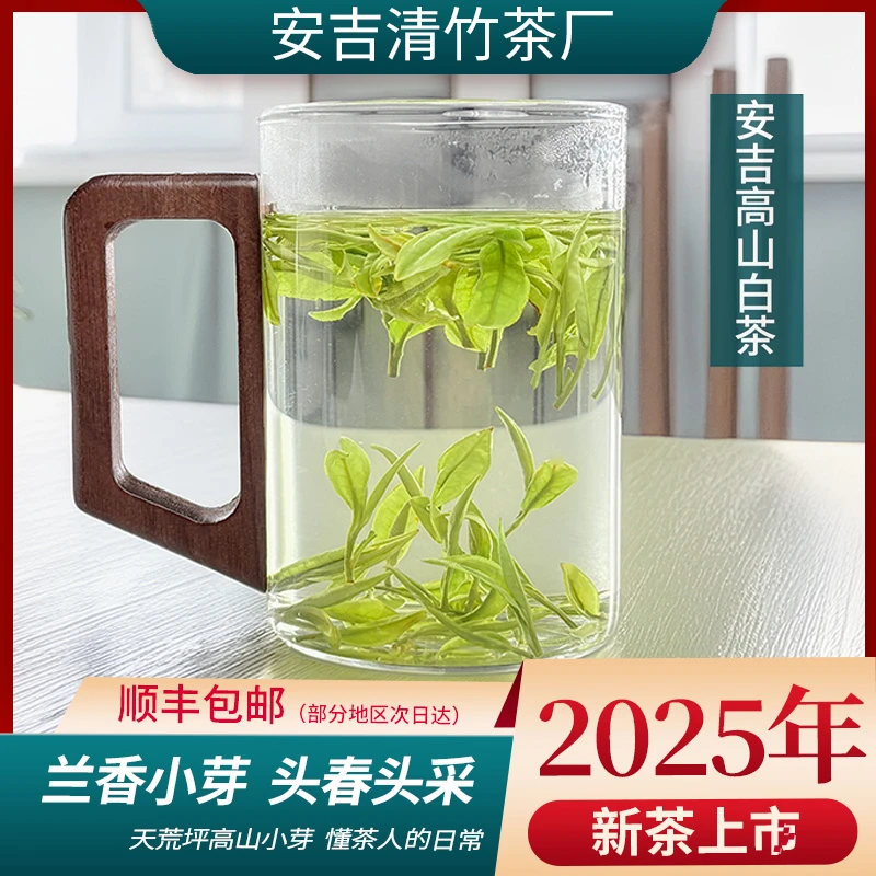 【兰香小芽】安吉高山白茶 高山口粮茶茶礼好白茶+兰花香A53