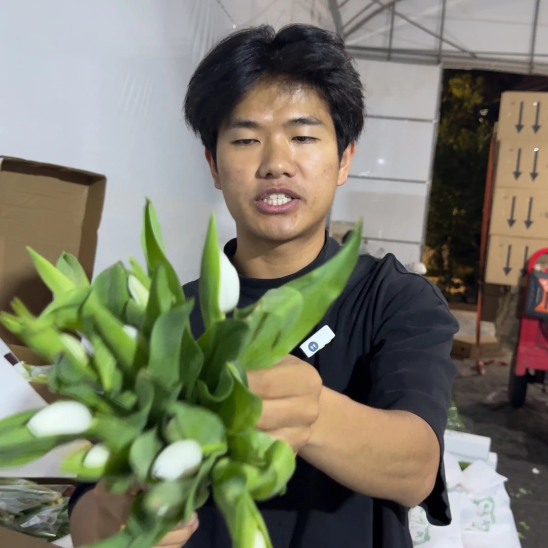 白色郁金香1扎包邮价叶片有轻微烧焦