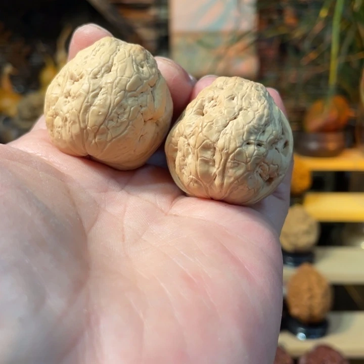 文玩核桃把件编号69