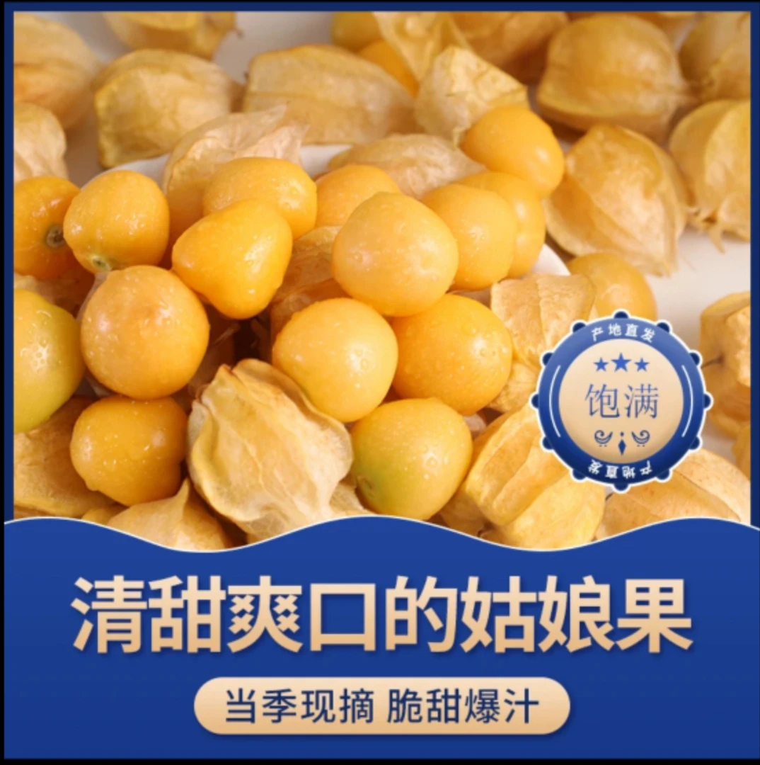 东北头茬姑娘果新鲜采摘清甜多汁当季稀有水果灯笼果