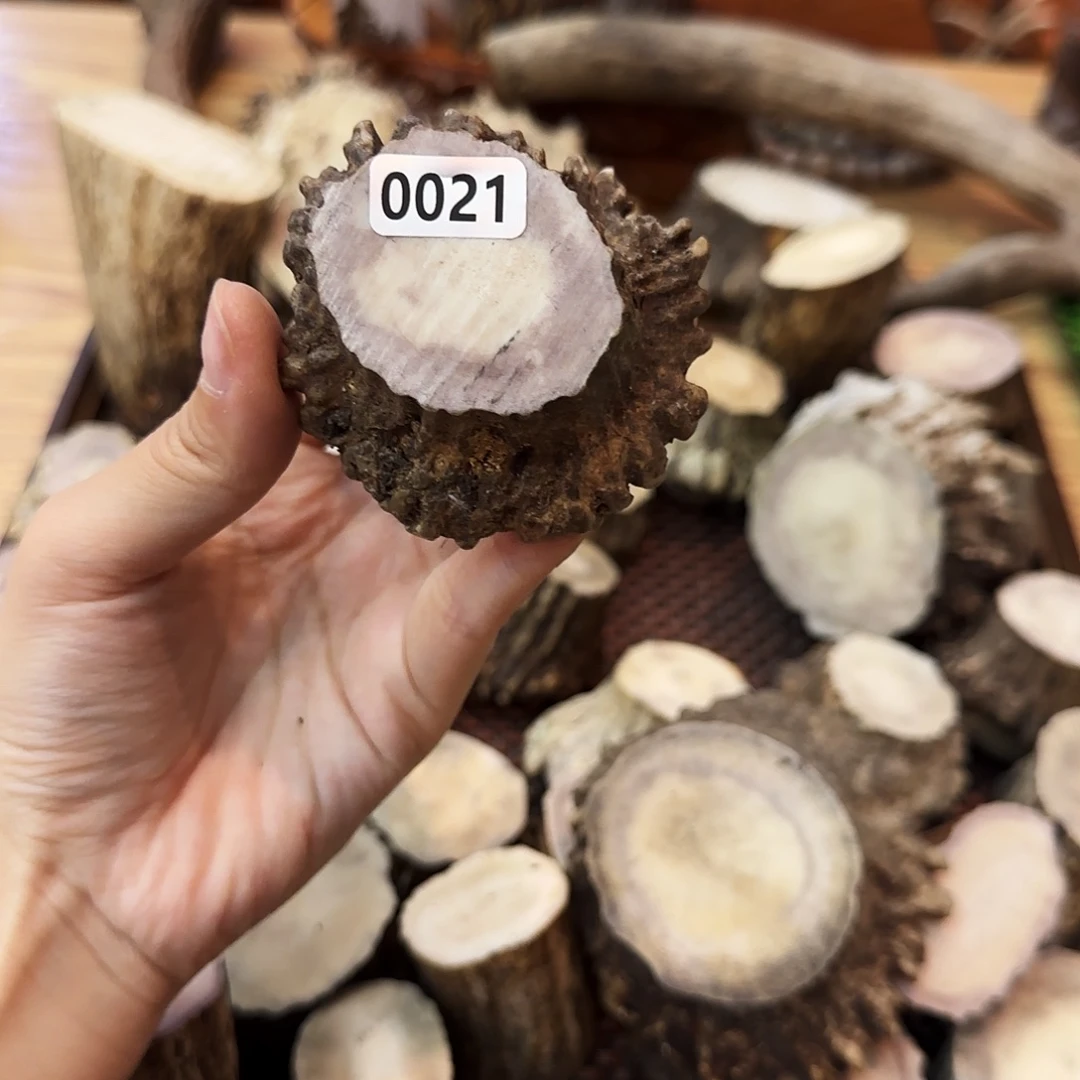 手串/手链鹿骨0021角帽