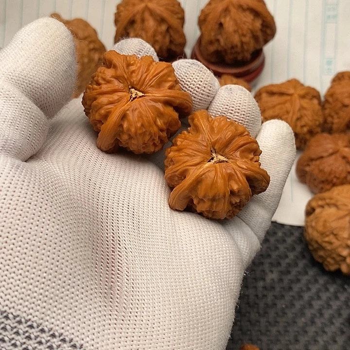 核桃手串/手链拼接白狮子26