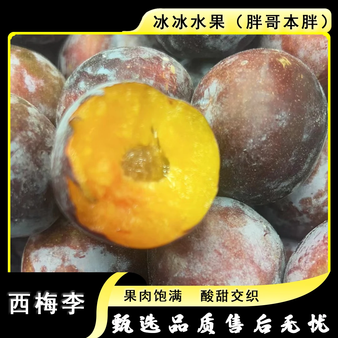 【散装】[N]西梅李 份/净重3斤左右 仅太原晋中吕梁忻州可拍