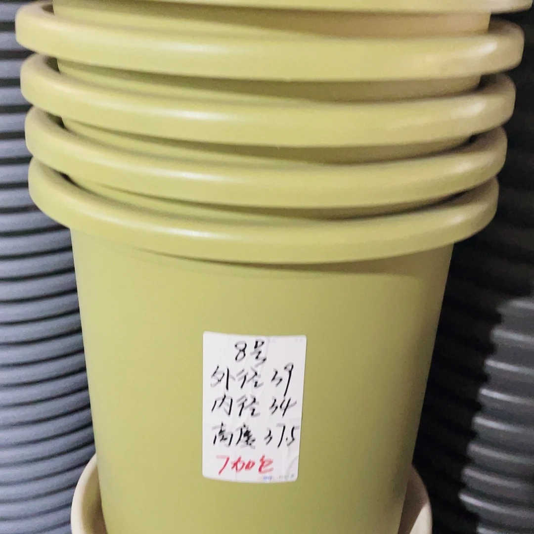 微瑕8#无拖果绿5个