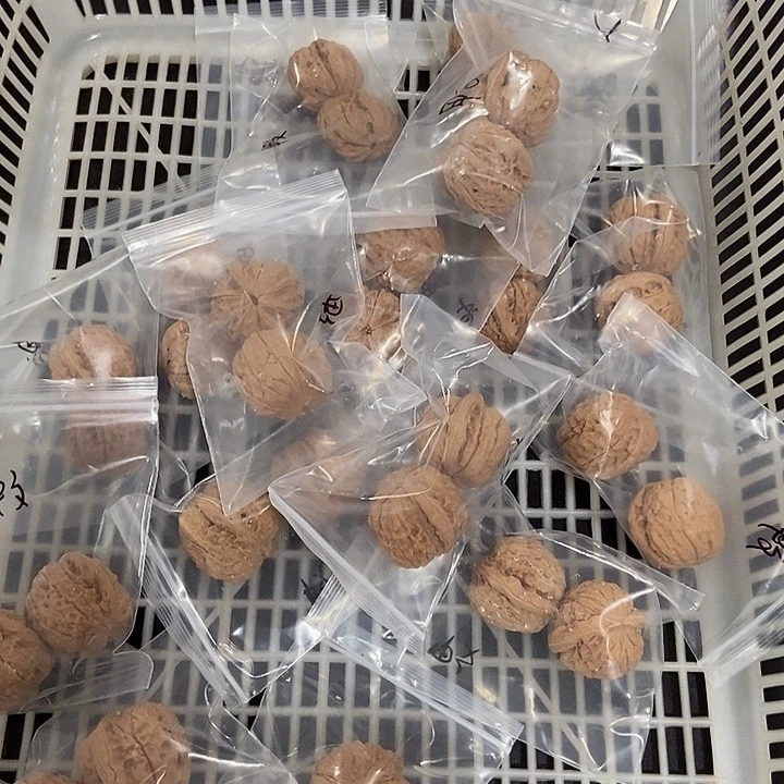 吊坠文玩核桃甲骨文
