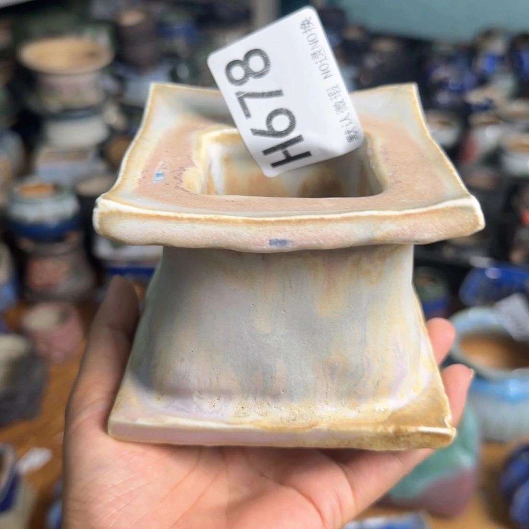 重庆小燕子欢迎大家678