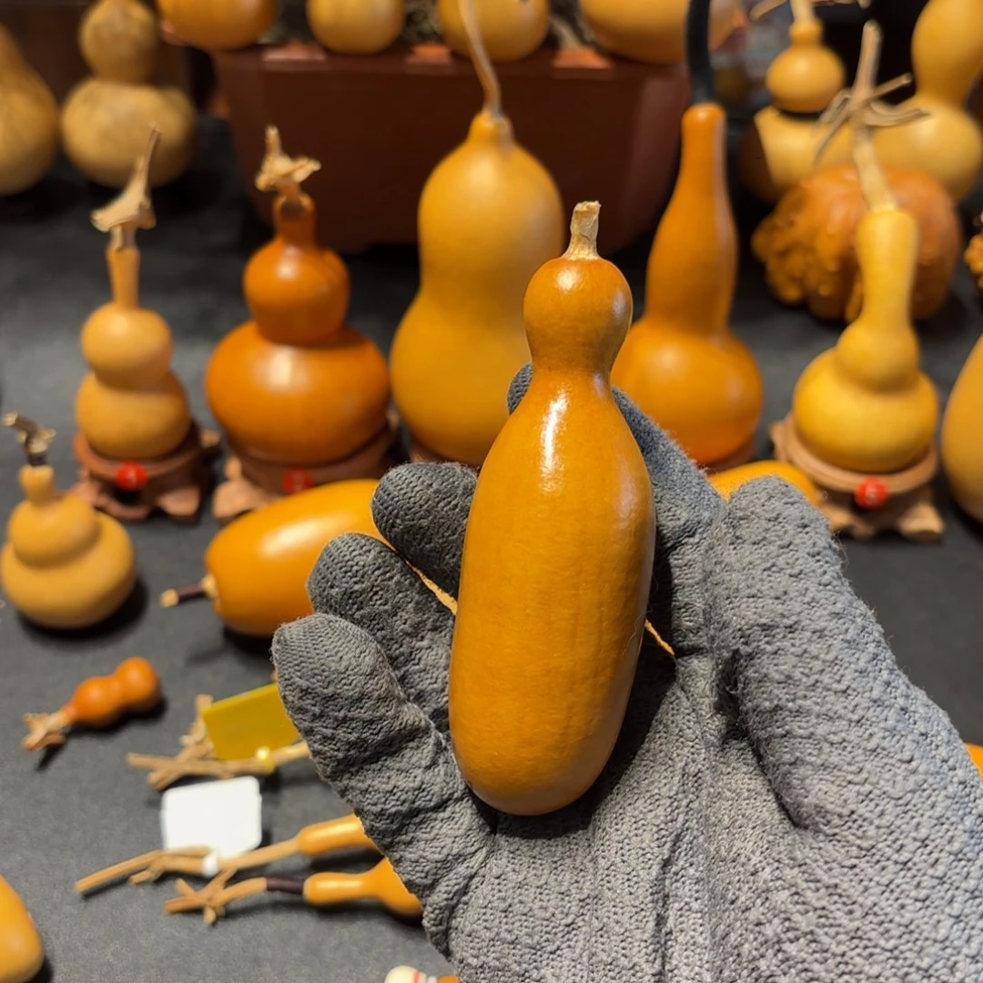 z***z葫芦88888888888888