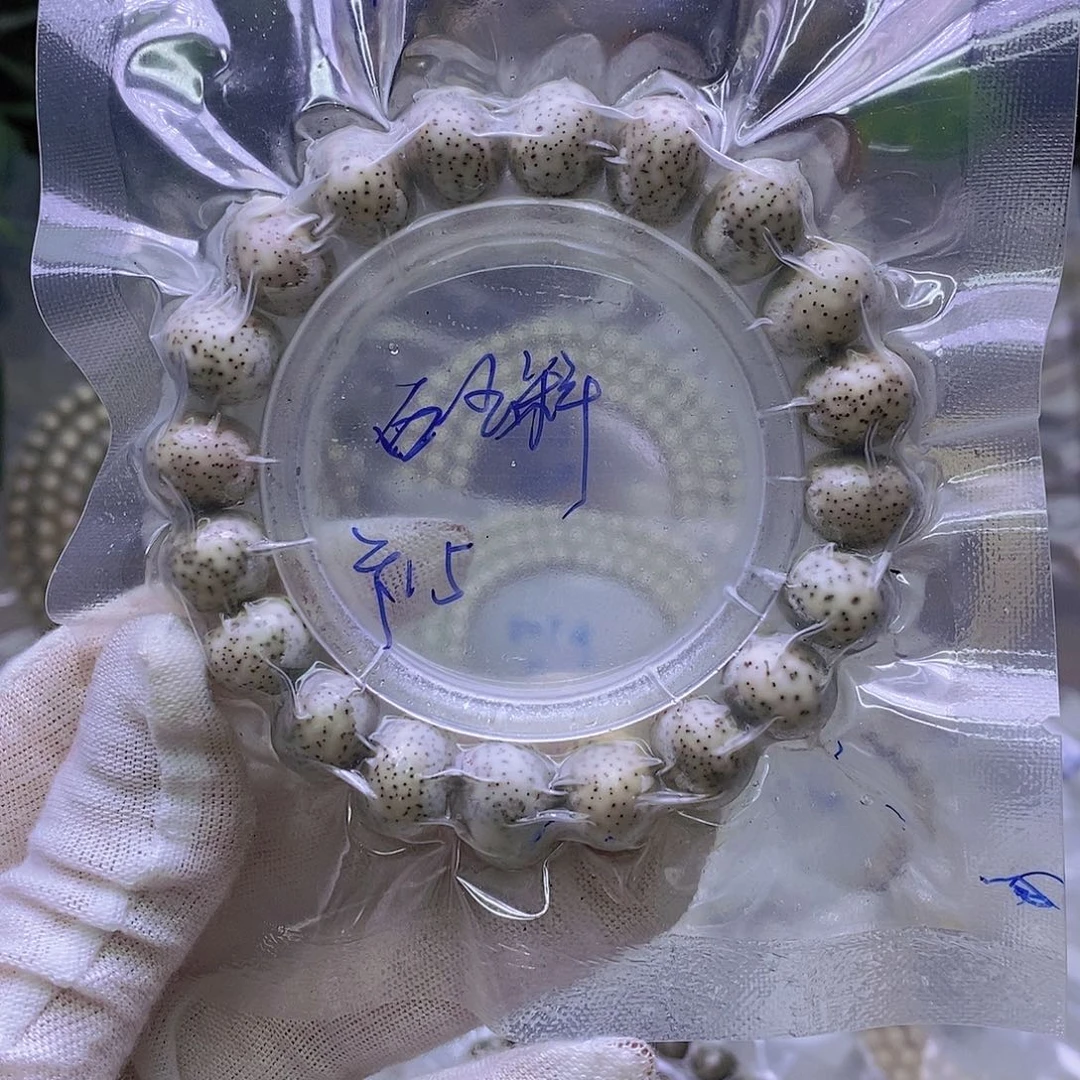 加***带吊坠星月菩提石玉