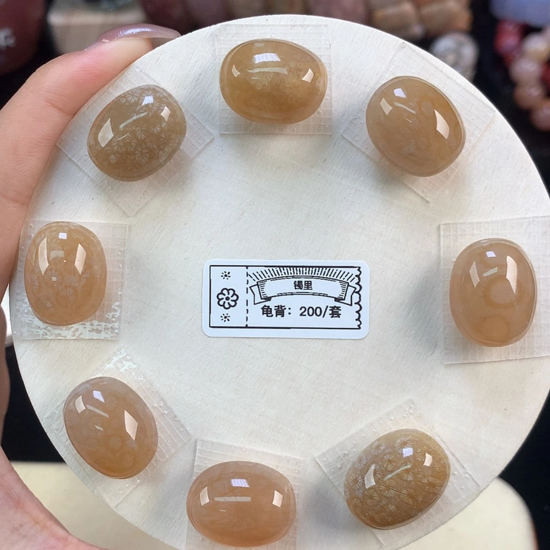 【闪购商品】颈饰未镶嵌硅化珊瑚（珊瑚玉）上新龟背套装（76号）