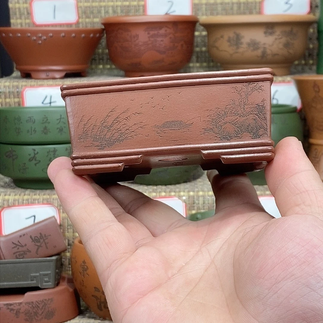 紫砂花盆你也不接