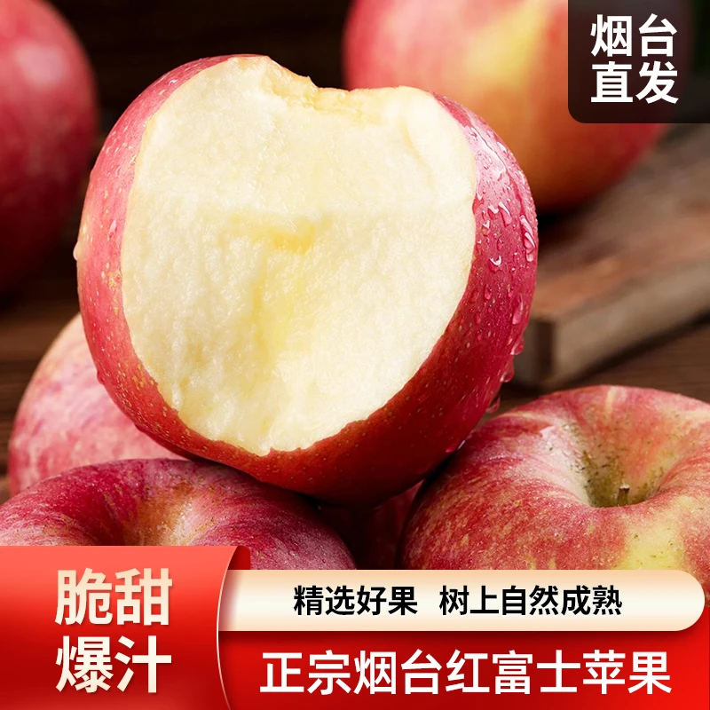 正宗烟台红富士苹果 红富士苹果皮薄肉厚脆甜可口新鲜水果