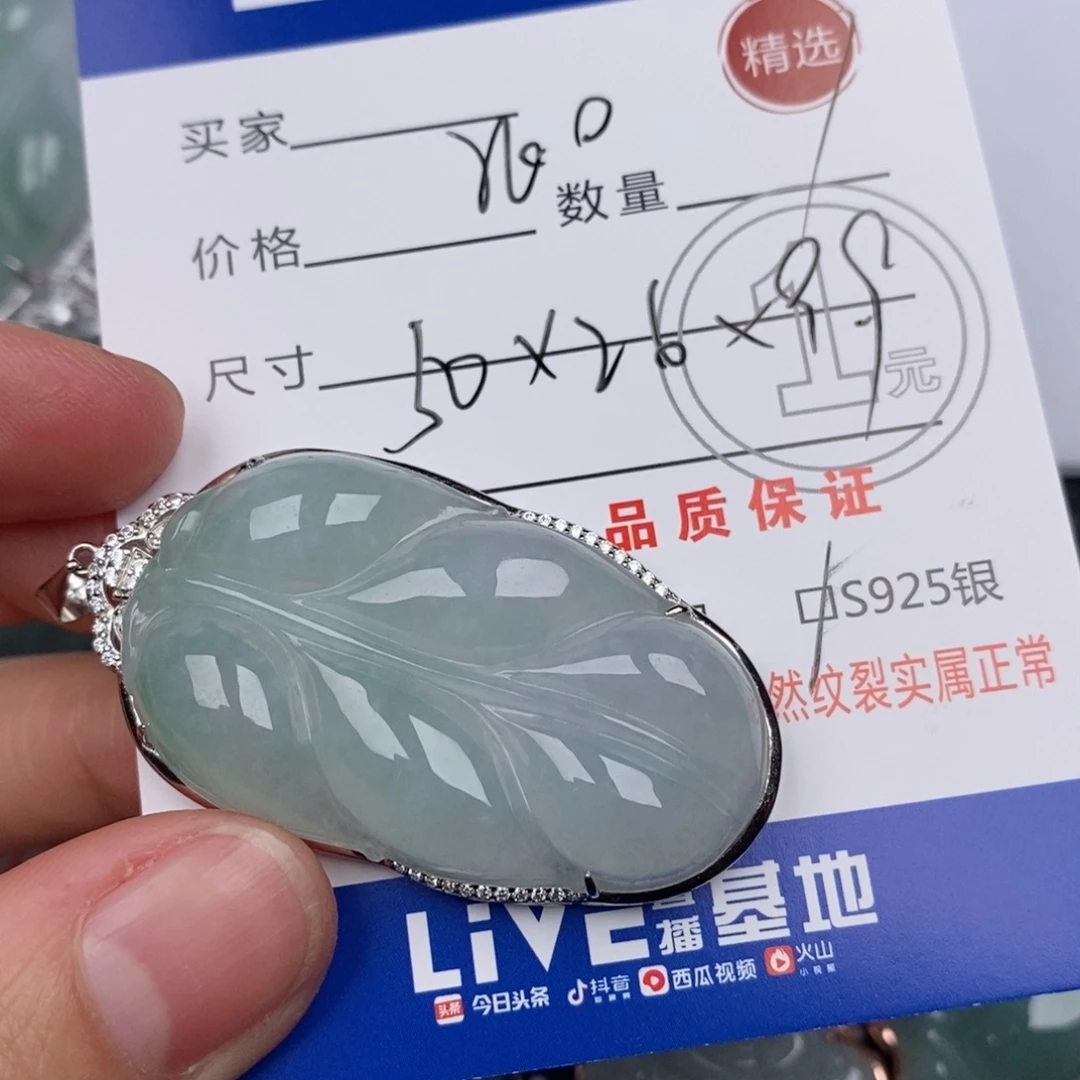 翡翠银S925镶嵌颈饰