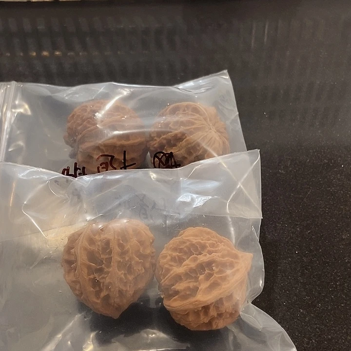 吊坠文玩核桃十道筋尖瑕疵