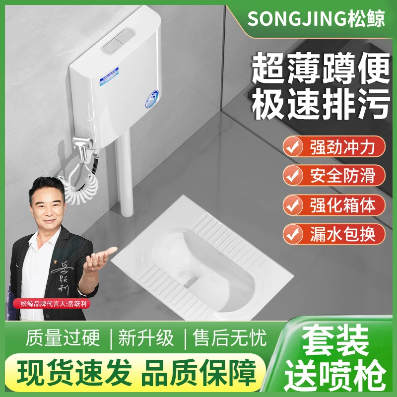 松鲸家用陶瓷蹲便器水箱整套装卫生间防臭大便器蹲坑式便池子厕所
