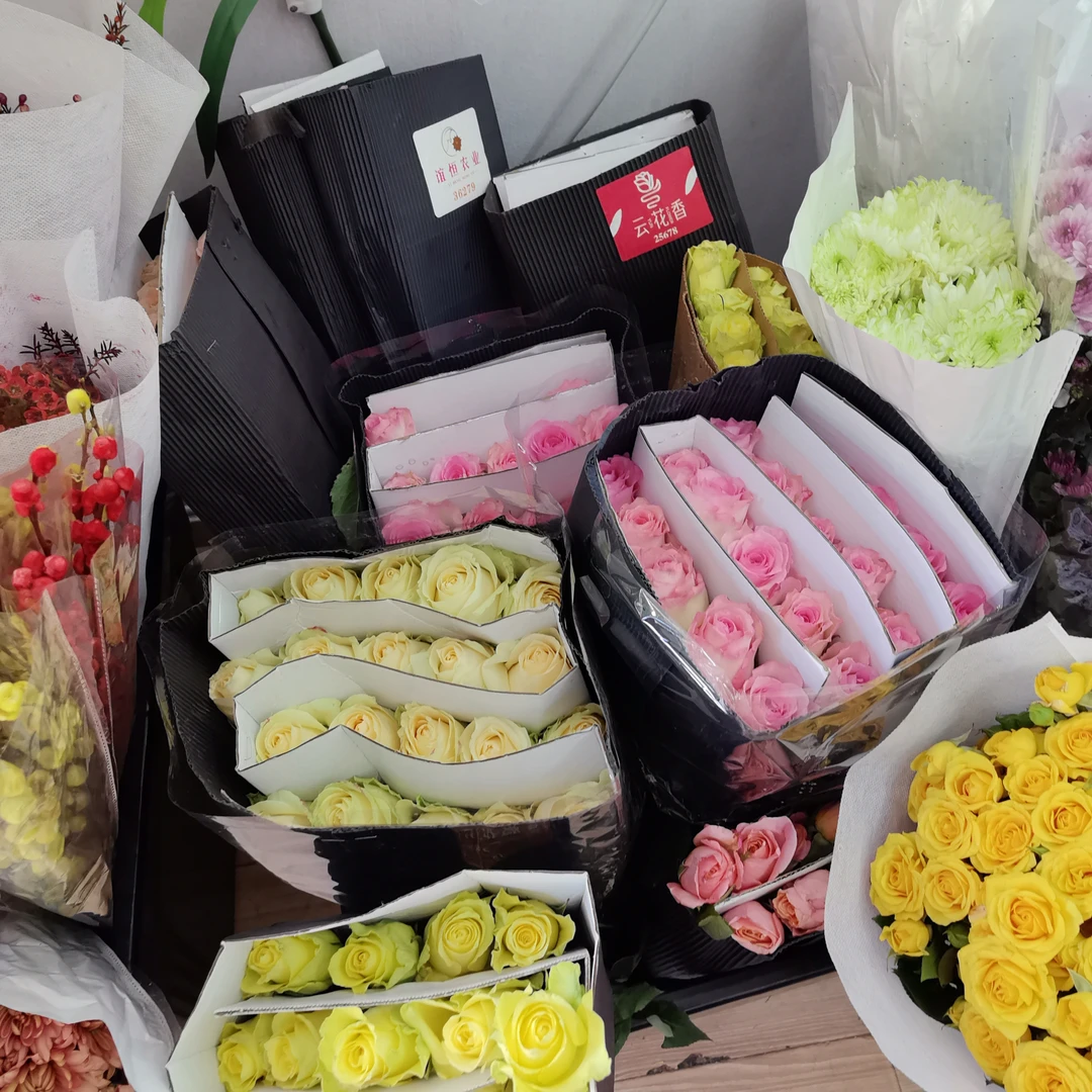 各种玫瑰10枝1扎