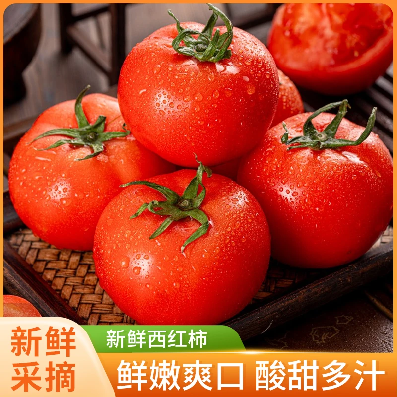 云南新鲜西红柿5斤番茄蔬菜红果西红柿新鲜采摘产地直发G