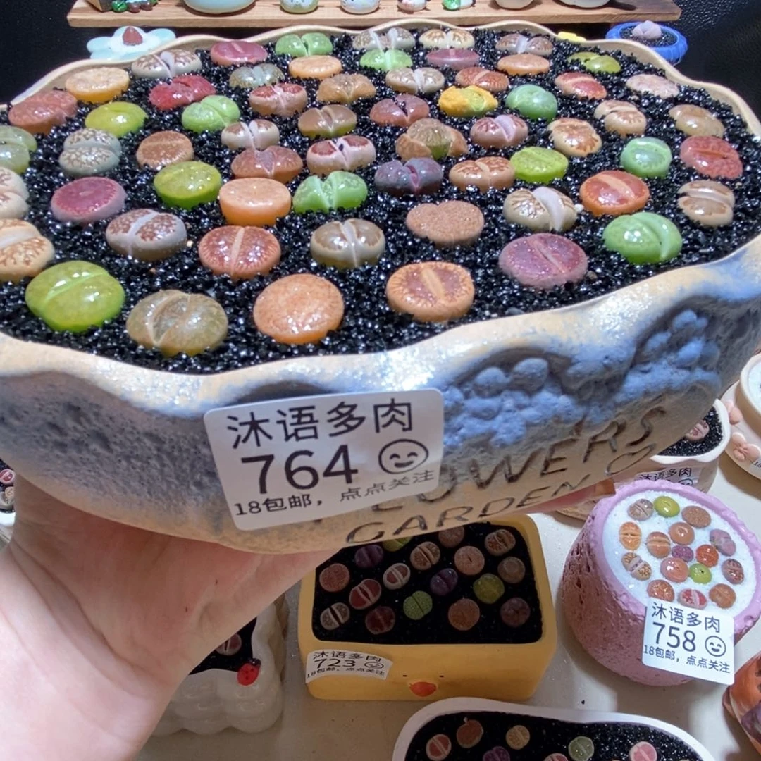 所见即所得 一物一拍764